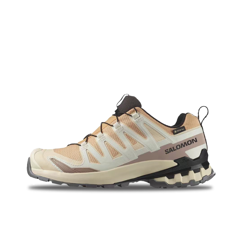 Salomon XA Pro 3D V9 GTX: A lo - Salomon Shoes Xa Pro 3D review and price