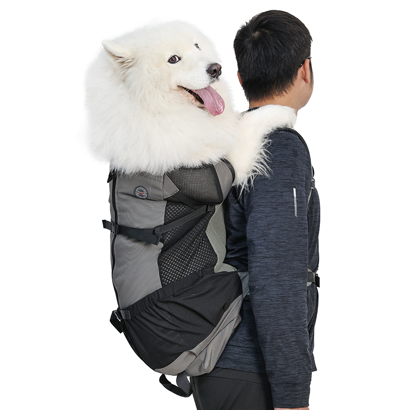 Custom Breathable Mesh Large D - Outdoor Adventure Farm review and price