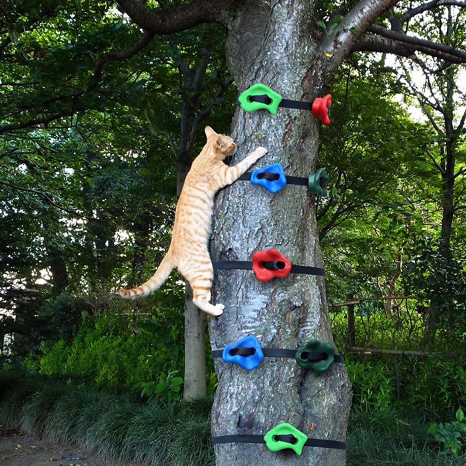 Outdoor Climbing Toys Adjustab - Outdoor Adventure Course review and price
